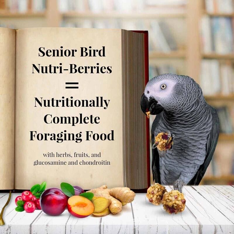 Senior Nutri-Berries, 10 oz