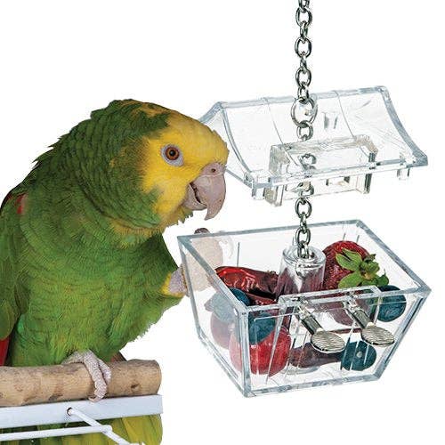 Parrot's Treasure Fouring Toy